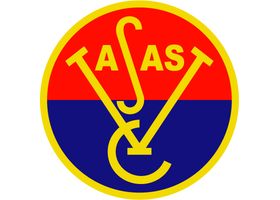 Vasas